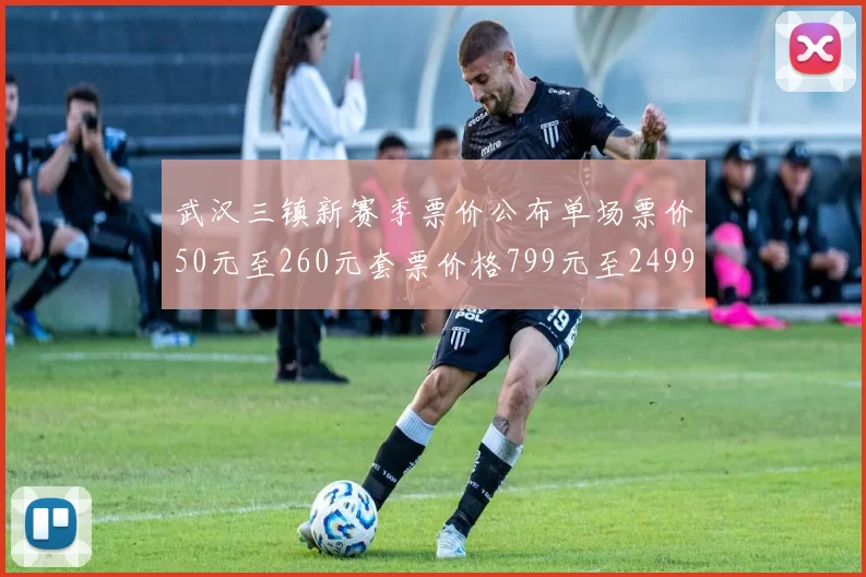 武汉三镇新赛季票价公布单场票价50元至260元套票价格799元至2499元